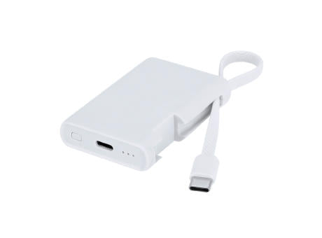 Power Bank Brandin