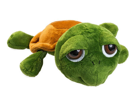 Schildkröte Lotte