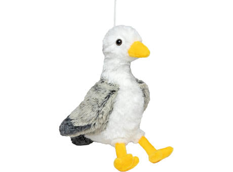 Möwe Jonathan