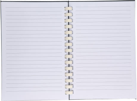 rPET-Notizbuch (A5) Ilias Original