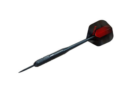 Dart Labor Dartboard „BULLOUT-SET INDIVIDUELL“ | inkl. 4c Druck auf ein Segment