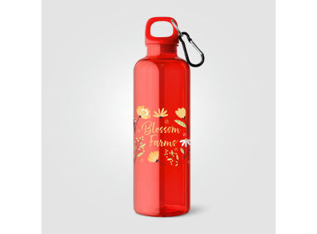 Doli Fahrradflasche mit Schraubverschluss und Karabinerclip aus rPET – 740 ml
