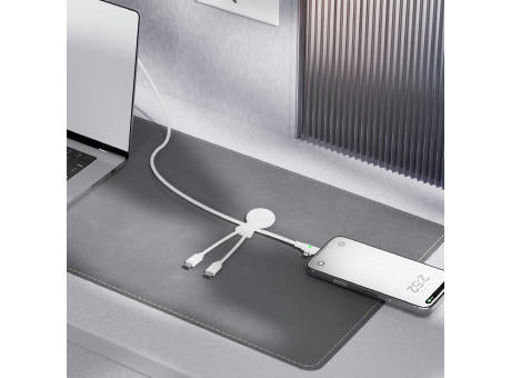Xoopar Mr. Bio Long Multi-Kabel USB-C 1 Meter