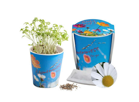 Blumenwiese To-Go - Ostern - Basilikum - neutral