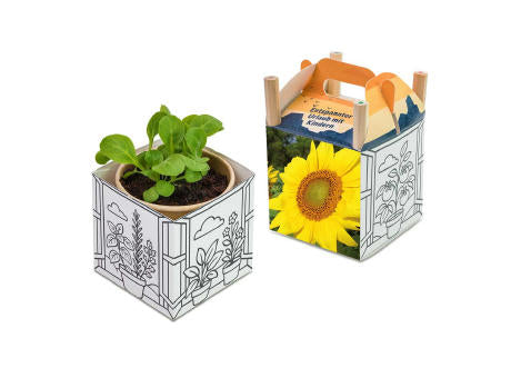 Color & Grow House - Ostern - Basilikum