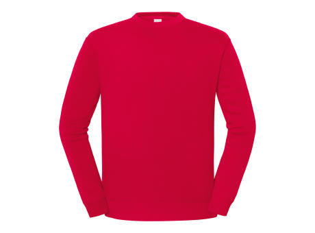 622920, Iconic 250 Set-In-Sweat, Fruit of the Loom
