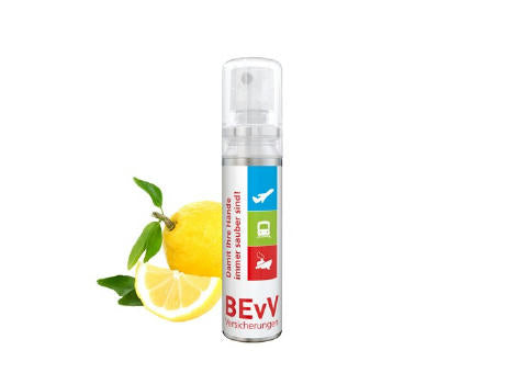 20 ml Spray - Handreinigungsspray (alk.) - Body Label