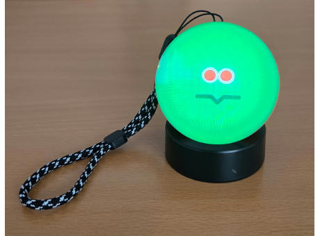 Videokugel WiFi