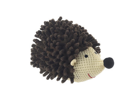 BADE-IGEL INGO