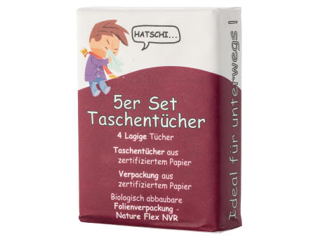 5er Set Taschentücher in Papierverpackung