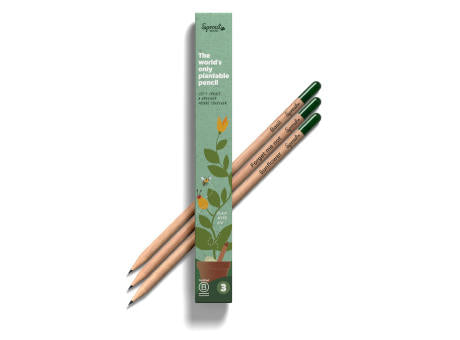 SPROUT - 3er Set Bleistifte