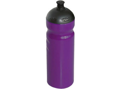 Trinkflasche Maxi