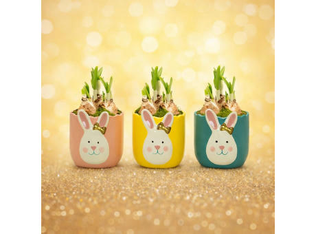 Easter golden bunny medium - Narzisse