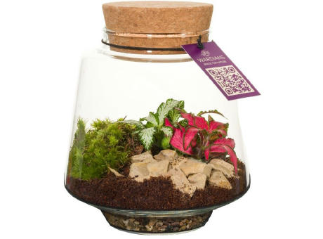 Wardians® Ecosystem - Conical small