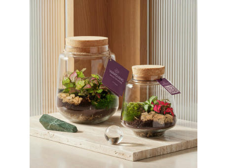 Wardians® Ecosystem - Conical small