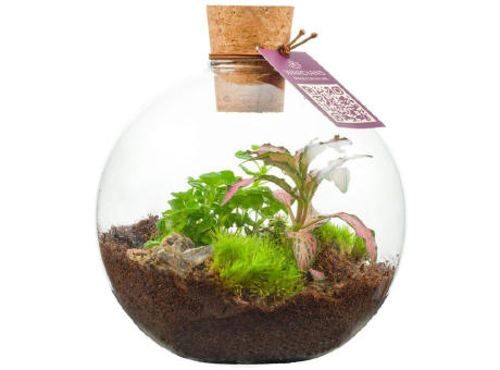 Wardians® Ecosystem - Bowl small