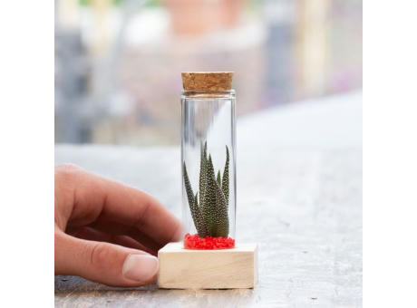Tiny Treasurez® - Single tube & wood
