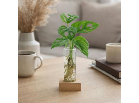 Hydroponic plants - Single tube & wood