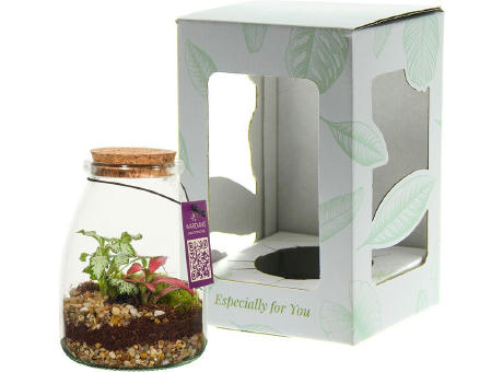 Wardians® Ecosystem - Bottle small