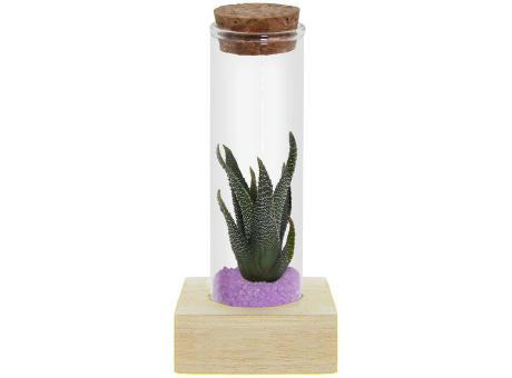 Tiny Treasurez® - Single tube & wood