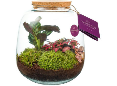 Wardians® Ecosystem - Sphere medium