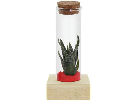 Tiny Treasurez® - Single tube & wood
