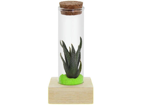 Tiny Treasurez® - Single tube & wood