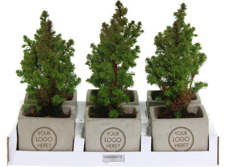 Congreet® plantpots small - Christmas edition