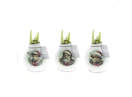 No Water Flowers® - Craftz Santa & Friends mix