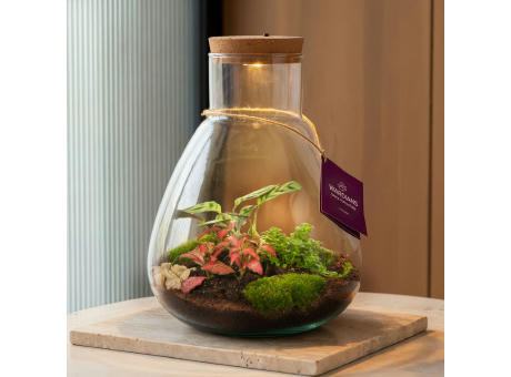 Wardians® Ecosystem - Erlenmeyer large + LED