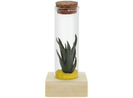 Tiny Treasurez® - Single tube & wood