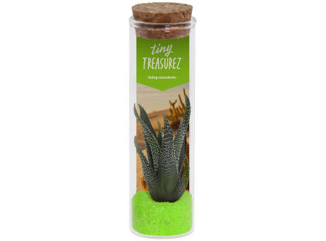 Tiny Treasurez® - Message in a bottle small