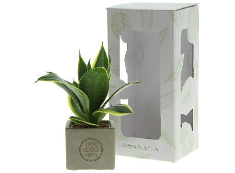 Congreet® plantpots small