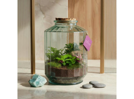 Wardians® Ecosystem - Stripe large
