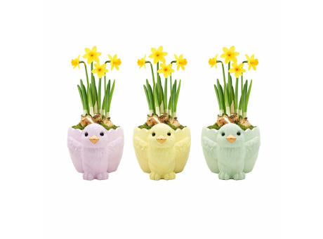 Easter colourful chicken medium - Narzisse