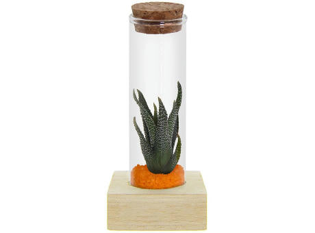 Tiny Treasurez® - Single tube & wood