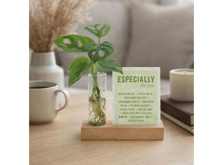 Hydroponic plants - Cardholder & tube