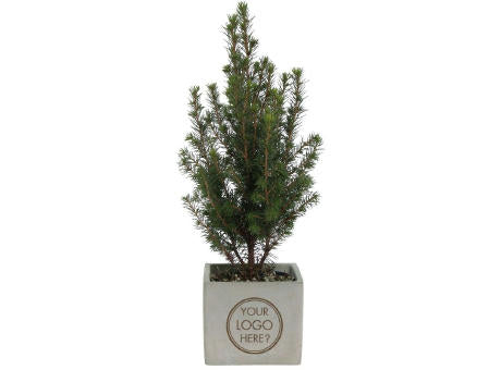 Congreet® plantpots large - Christmas edition