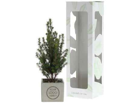Congreet® plantpots large - Christmas edition