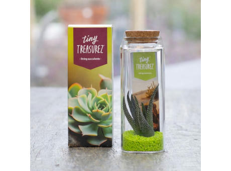 Tiny Treasurez® - Message in a bottle large
