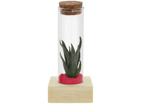 Tiny Treasurez® - Single tube & wood
