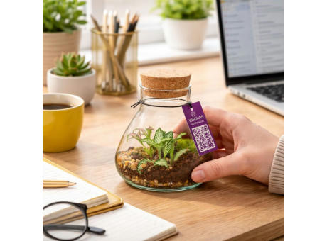 Wardians® Ecosystem - Erlenmeyer small