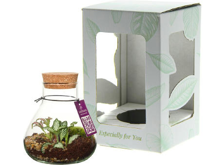 Wardians® Ecosystem - Erlenmeyer small