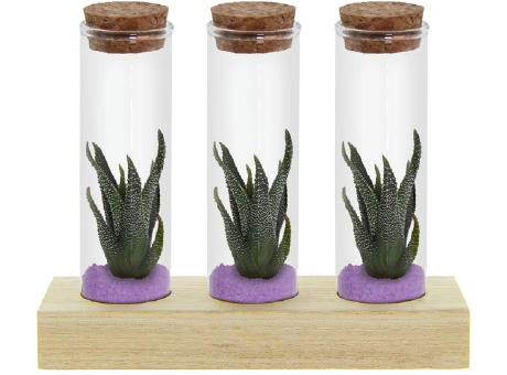 Tiny Treasurez® - Trio tube & wood