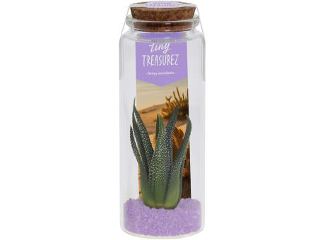 Tiny Treasurez® - Message in a bottle large