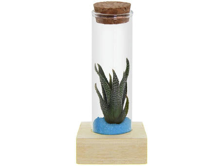 Tiny Treasurez® - Single tube & wood
