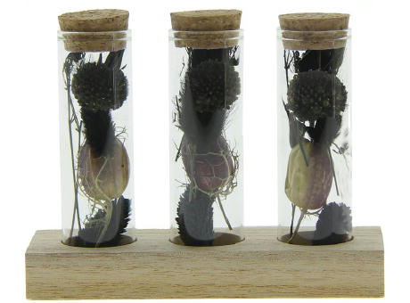 Dried Flowers - Trio tube & wood