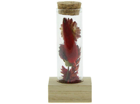 Dried Flowers - Single tube & wood