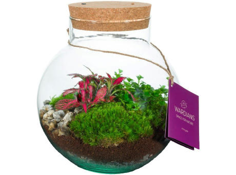 Wardians® Ecosystem - Bowl medium + LED