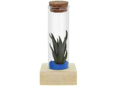 Tiny Treasurez® - Single tube & wood